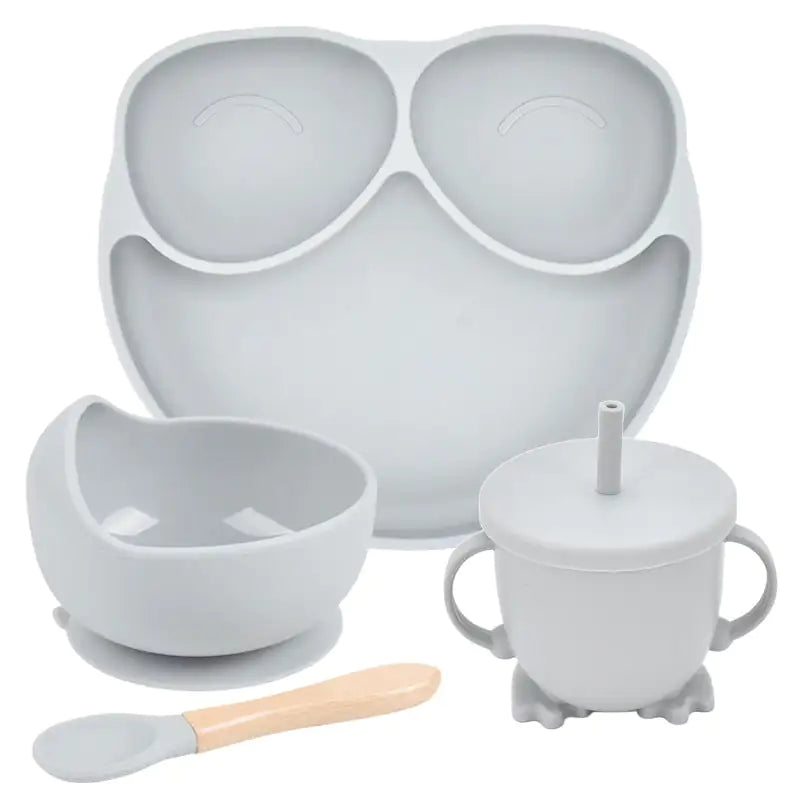 Baby Silicone Divided Plate Set