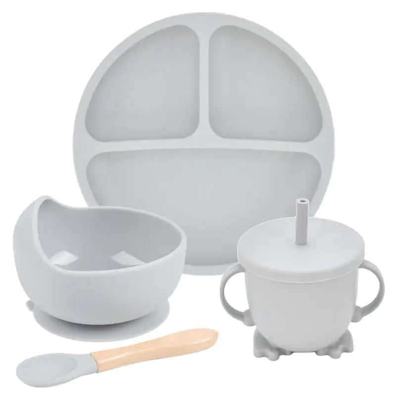 Baby Silicone Divided Plate Set